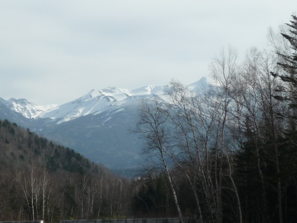 f0187700_1482597.jpg