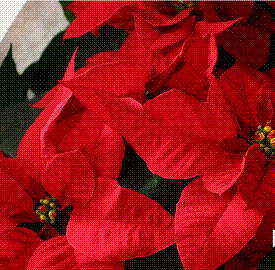d0153203_1823997.gif