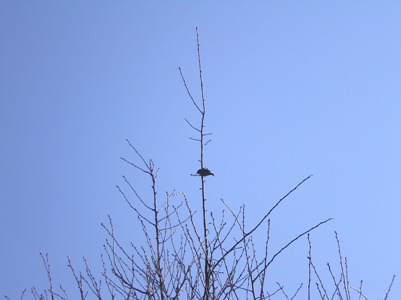 c0156104_23591890.jpg