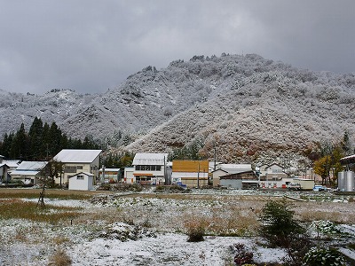 初雪（11月3日）_d0027904_2350537.jpg