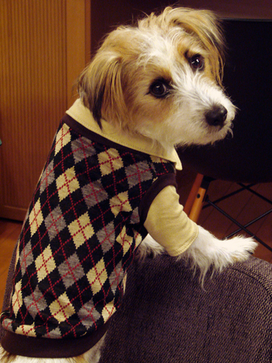 f0080105_8285663.jpg