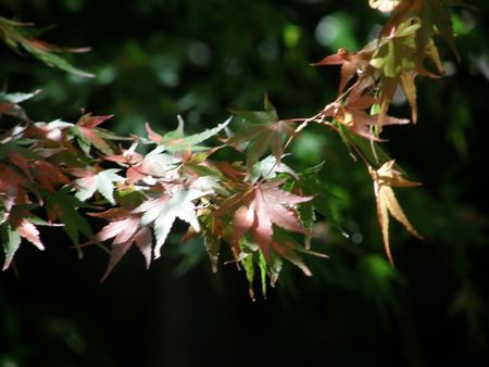 b0061107_20572100.jpg