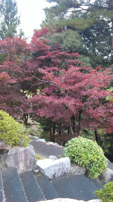 f0085810_15524725.jpg