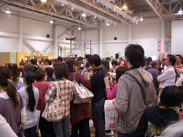 富士市発の新しいコンベンション「FDSC富士山ペットフェスタ」!_f0141310_23374966.jpg