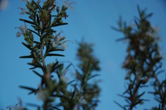 f0000211_19262512.jpg