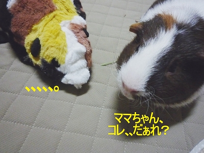 b0181615_2153030.jpg