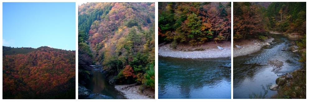 昨日から、60.5ミリの雨量　　朽木小川・気象台より_c0044819_4522435.jpg