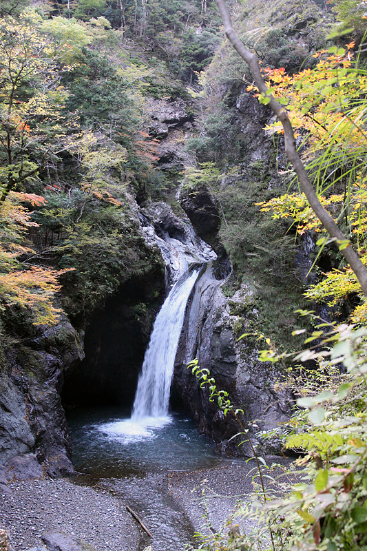 e0190224_12321015.jpg