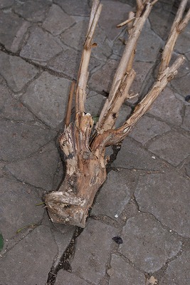 f0170524_15115074.jpg