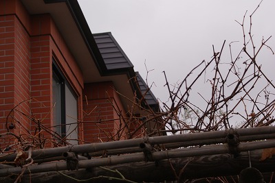 f0170524_15172430.jpg