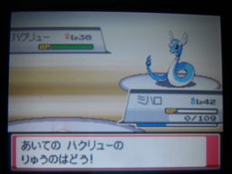 ポケットモンスターハートゴールドプレイ日記 フスベジム戦 つきねこの日記