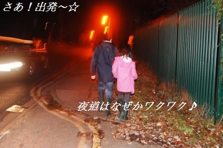 冬の花火!_d0104926_0512467.jpg