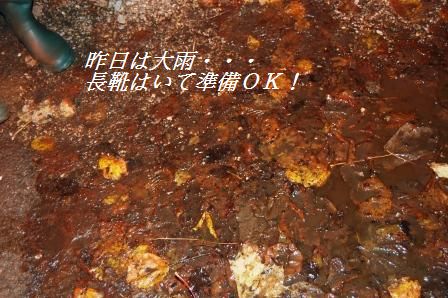 冬の花火!_d0104926_056142.jpg
