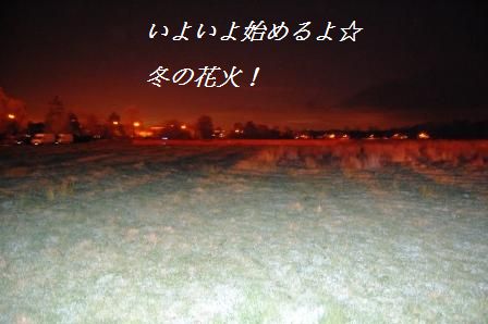 冬の花火!_d0104926_131294.jpg