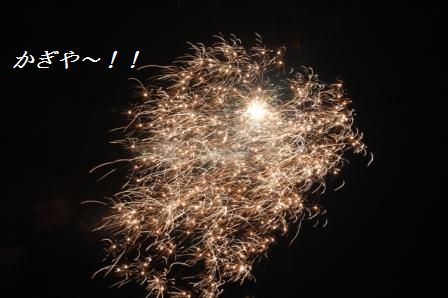 冬の花火!_d0104926_1331641.jpg