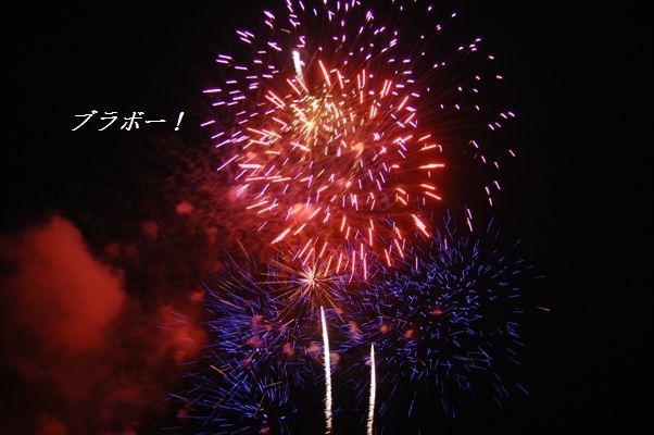 冬の花火!_d0104926_1341183.jpg