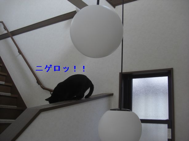 e0142430_22491981.jpg