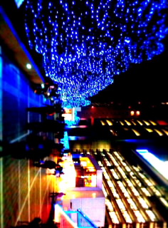 f0093831_20435948.jpg