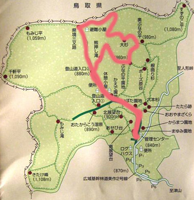 c0165033_1013299.jpg