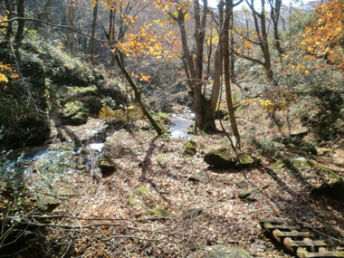 c0165033_10272079.jpg