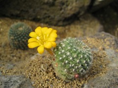 c0090236_06289.jpg