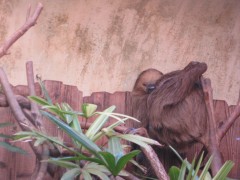 c0090236_065598.jpg