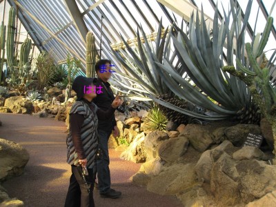 c0090236_07368.jpg
