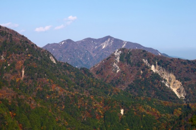 d0055236_8584210.jpg