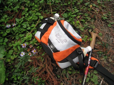 c0077338_07622.jpg
