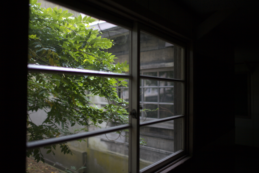 d0001745_10324687.jpg