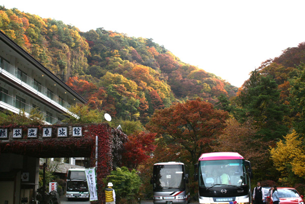 結婚式と信州旅行_f0100046_2227525.jpg