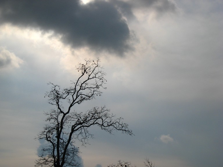 e0009147_7553516.jpg