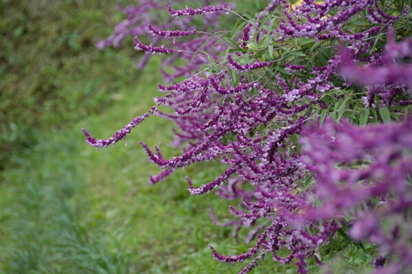 e0043548_2303323.jpg