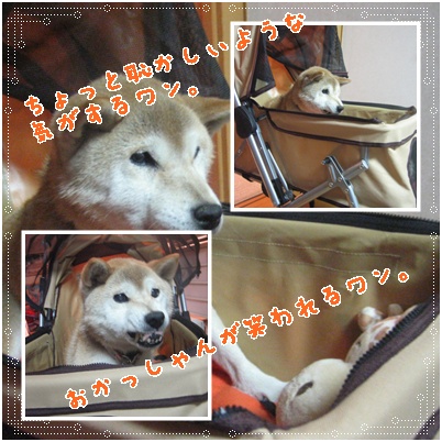 またまた「To be continued」?_c0049950_15281097.jpg