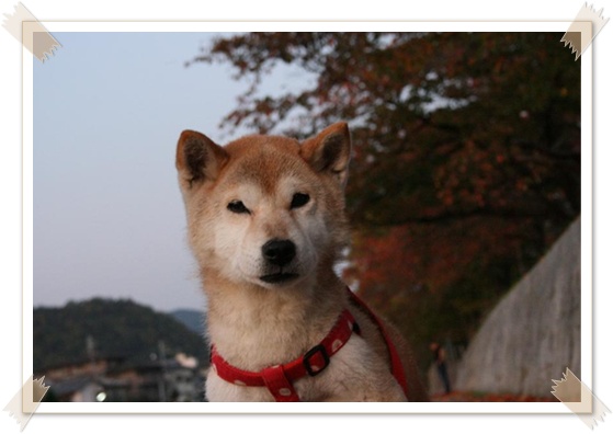 またまた「To be continued」?_c0049950_15321282.jpg