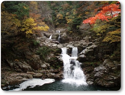 船の旅　広島県の三段峡を歩く_d0048350_1893076.jpg