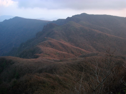 c0179351_21344.jpg