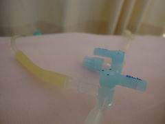 f0077054_1632556.jpg