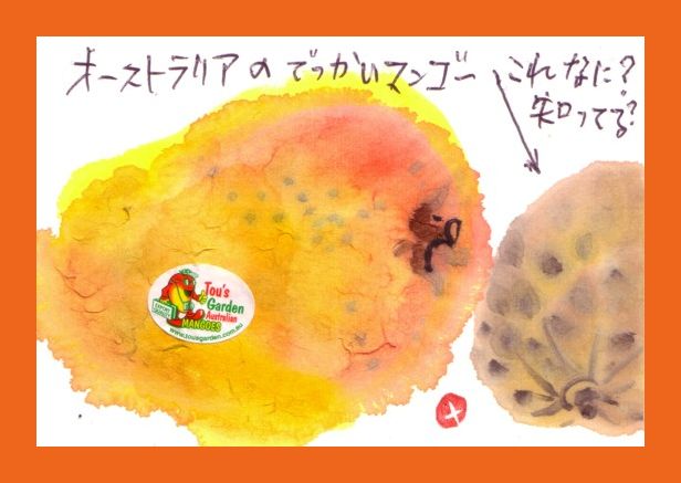 こ・れ・なに?_e0074955_22243497.jpg