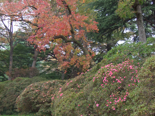b0045357_9193160.jpg