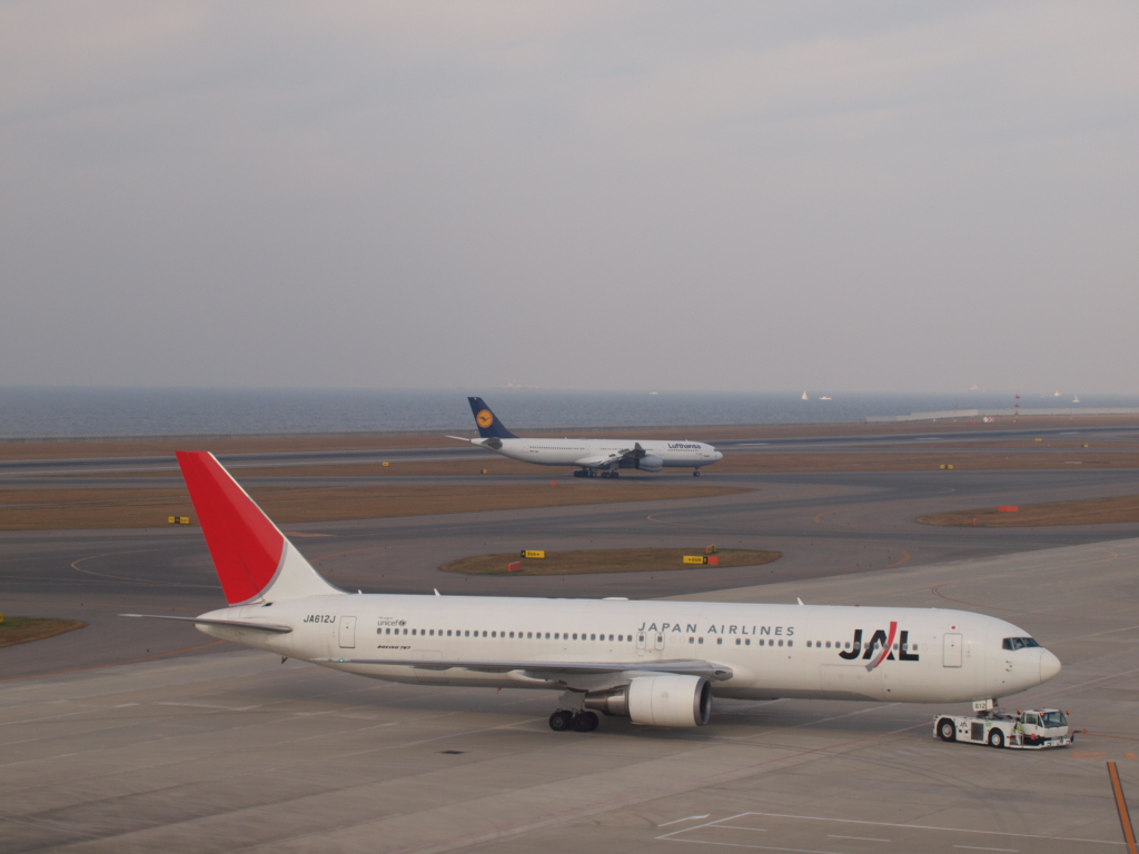 空飛ぶブタたち_f0050958_22301674.jpg