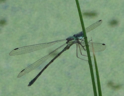 c0108460_19472461.jpg