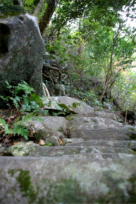 「苦しいから。」と言って、ただがむしゃらは駄目です！・・・岩屋山_f0051464_1353830.jpg