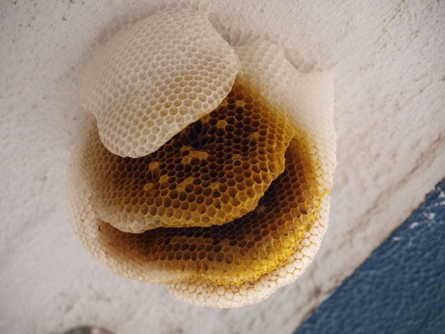 e0010166_2241258.jpg