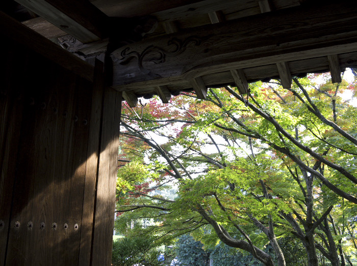 「紅葉近し光悦寺」_b0108969_2128167.jpg