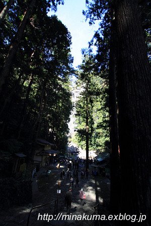 b0138370_15521323.jpg