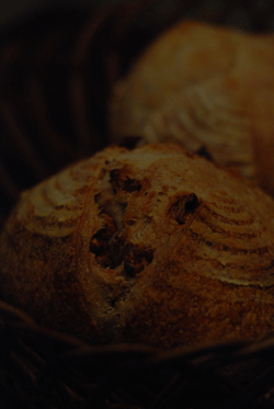 b0173176_2256912.gif