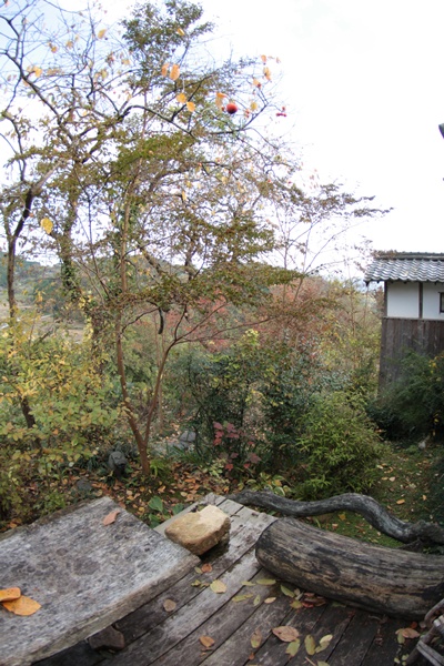 c0167576_795683.jpg
