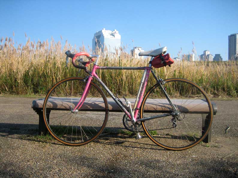 ロードレーサー復活_b0057679_8314183.jpg