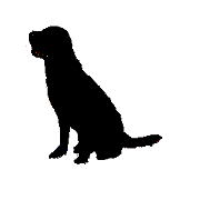 b0136683_1050082.gif